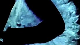 Exploring Two Centuries Of Vintage Art