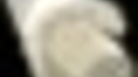 Spooky Milk Life Hentai Game with Furry Suit Titjob Action