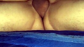 Latest Mixvieos Update Featuring Yoga And Interviews