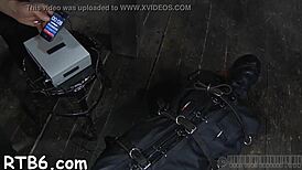 Free sadomasochism sites provide access to diverse bdsm information