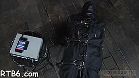 Free sadomasochism sites provide access to diverse bdsm information