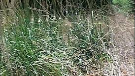 Hey, wanna see young cute girls learn sex tricks?