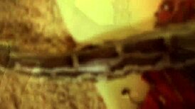 Exotic Brunette Strips Down in Bold Bollywood Seduction