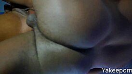 Big black cock tests her pussy like honey