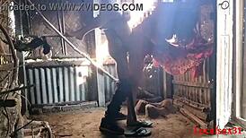 Red Saree Wife Gives Outdoor Blowjob in Official Localsex31 Video!