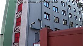 I Explored Wild Brothels on Hornstraße 2 in Köln