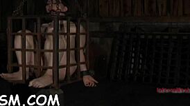 Hardcore Toy Gratifying Babe In POV Contest