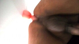 Stella Explores Anal Toys in Transsexual Adventure.