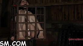 Hardcore Toy Gratifying Babe In POV Contest