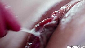 Waifu secret 5 reveals dating adventures