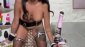 La mucama encuentra la colección de juguetes 😈