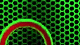 Close-Up Scenes Of Angelina Castro