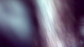 watch this horny blowjob with small tits and handjob