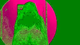 hey, watchin my bull with spy cam in glory hole cabin