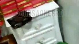 Orgia Com 3 Novinhos Guloso Completo!