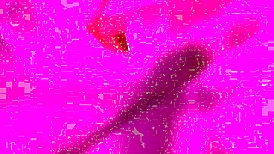 i love this quick doggystyle session with a mature milf