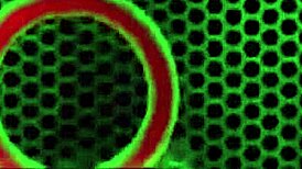 Milf Sara Jay Bounces Ass on Rome Major's Cock