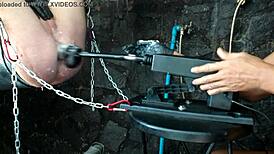 26 11 BBD's sexual experiences with a sex machine