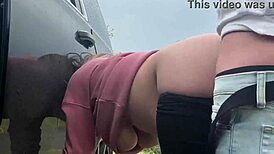 Public Anal Sex In The Park Sparks Wild Outdoor Thrills.