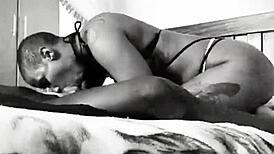 dzaddylongstrokes update 31 inshot dec 07 2023