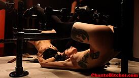 Lezdom Mistress Oversees Submissive Participants