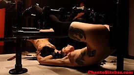 Lezdom Mistress Oversees Submissive Participants