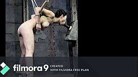 just some sexy black and asian milfs getting wild in hardcore action. damn, those european lesbians know how to play rough.