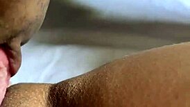 cute brunette amateur gets pussy licked on webcam