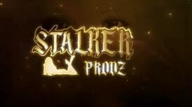 Cute inked czech babe gets anal fucked