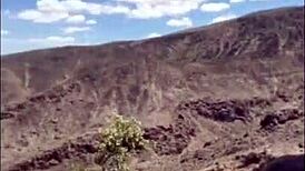 Felicity the fit cat is a slutty comic relief