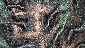 Intriguing bbw wife sucks dick sloppily before getting fucked