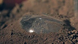 Feeling the Passion: Adriana Chechik and Kissa Sins Explore Intense Pleasures on a Rainy Camping Trip