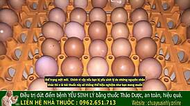 Hey, wanna know the ancient Vietnamese secret to boost male vitality with Asian flair?