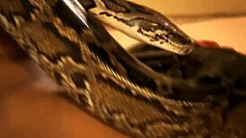 ओरिएंटल हसीना की एक्सोटिक चुदाई की आग महसूस करो