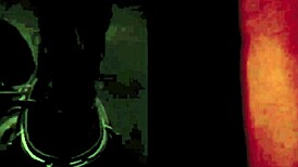 Dark lantern unveils centuries of vintage erotic films