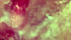 Living with a nympho like JuanLatino4 is wild, always wet and ready!