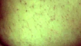 BBW neighbor hooks up for intense orgasm with big cock cumshot