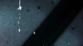 tgirls xxx eden n chris makin love so hard omg