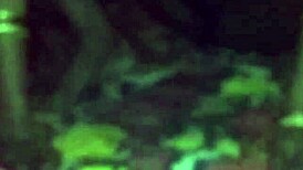 Indian Bhabhi Awakened and Fucked Hard in Intense Session.