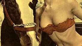 Dark Lantern Entertainment Presents Erotic Confessions of a Victorian Gentleman