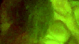 mature bbw amateur squirts during homemade fuck and blowjob