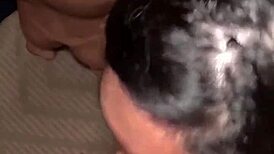 group of three naughty girls for three guys to fuck