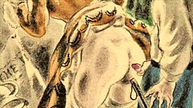 Vintage Illustration Collection