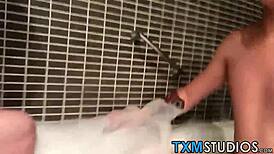 Two Twinks Tease and Suck POV