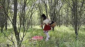 Red Riding Hood Monika Fox Finds Big Dildos On Way To Grandma With Anal Squirt