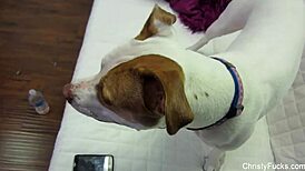 christy mack and nick manning behind the scenes