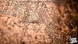 Novinha masturbates on the beach with big ass squirting