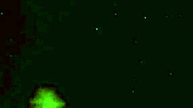 i love watching anna varentino swallow in italy's hot room