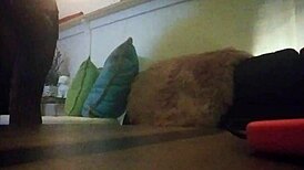 i'm a sexy latino shemale with a huge monster cock, loving to show off my transsexual body and get fucked passionately by big cocks