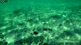 Public Exhibitionist German Teen Veronikavonk Flashes Big Boobs On Sea